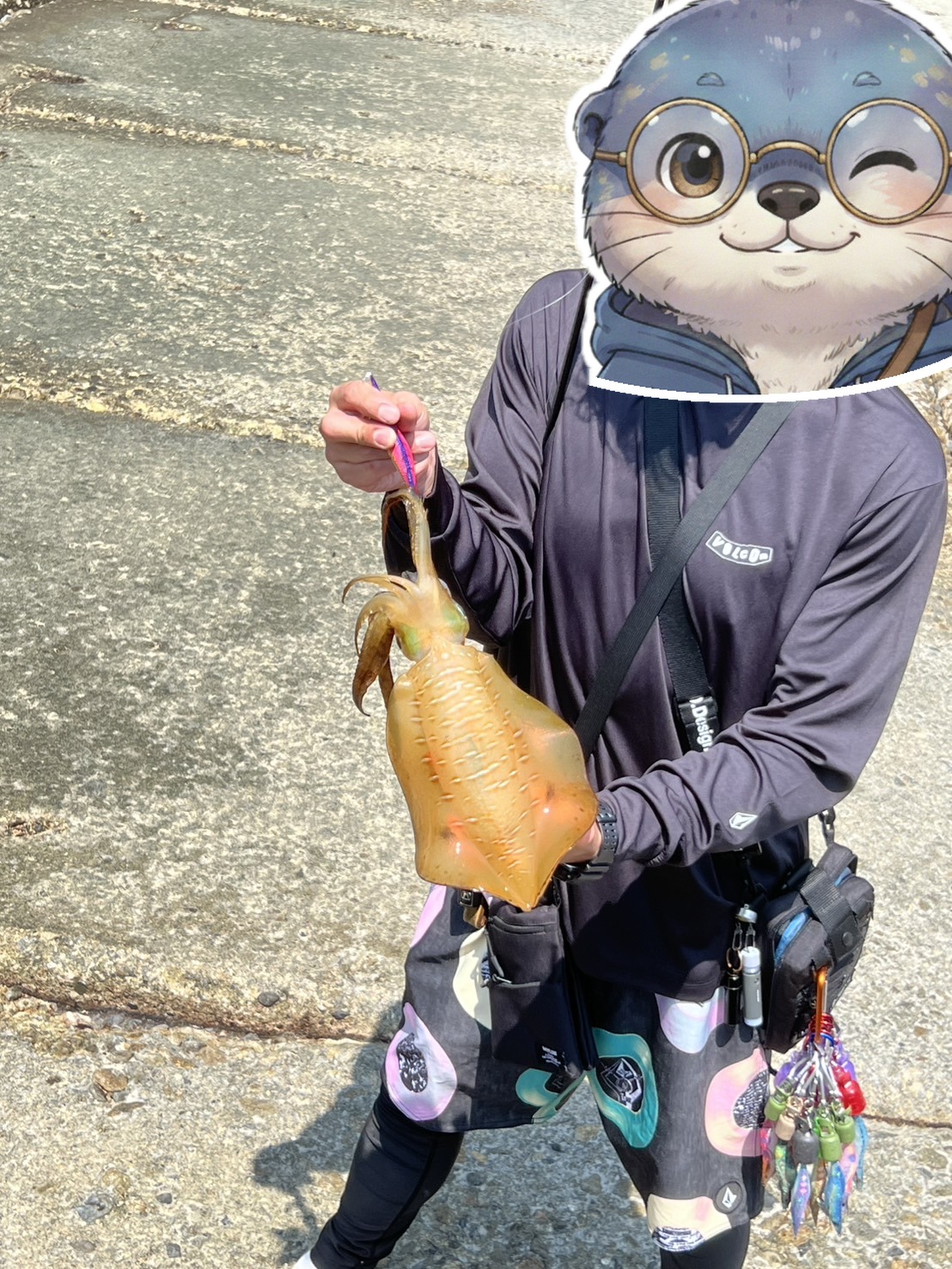 アオリイカの釣果（顔はアメイロで隠しています）