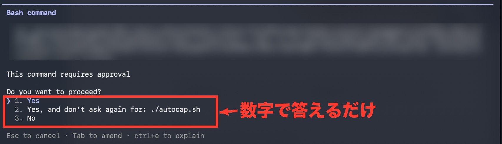 ターミナル版の確認画面。Do you want to proceed?に対して1.Yes、2.Yes and don't ask again、3.Noの3つの選択肢