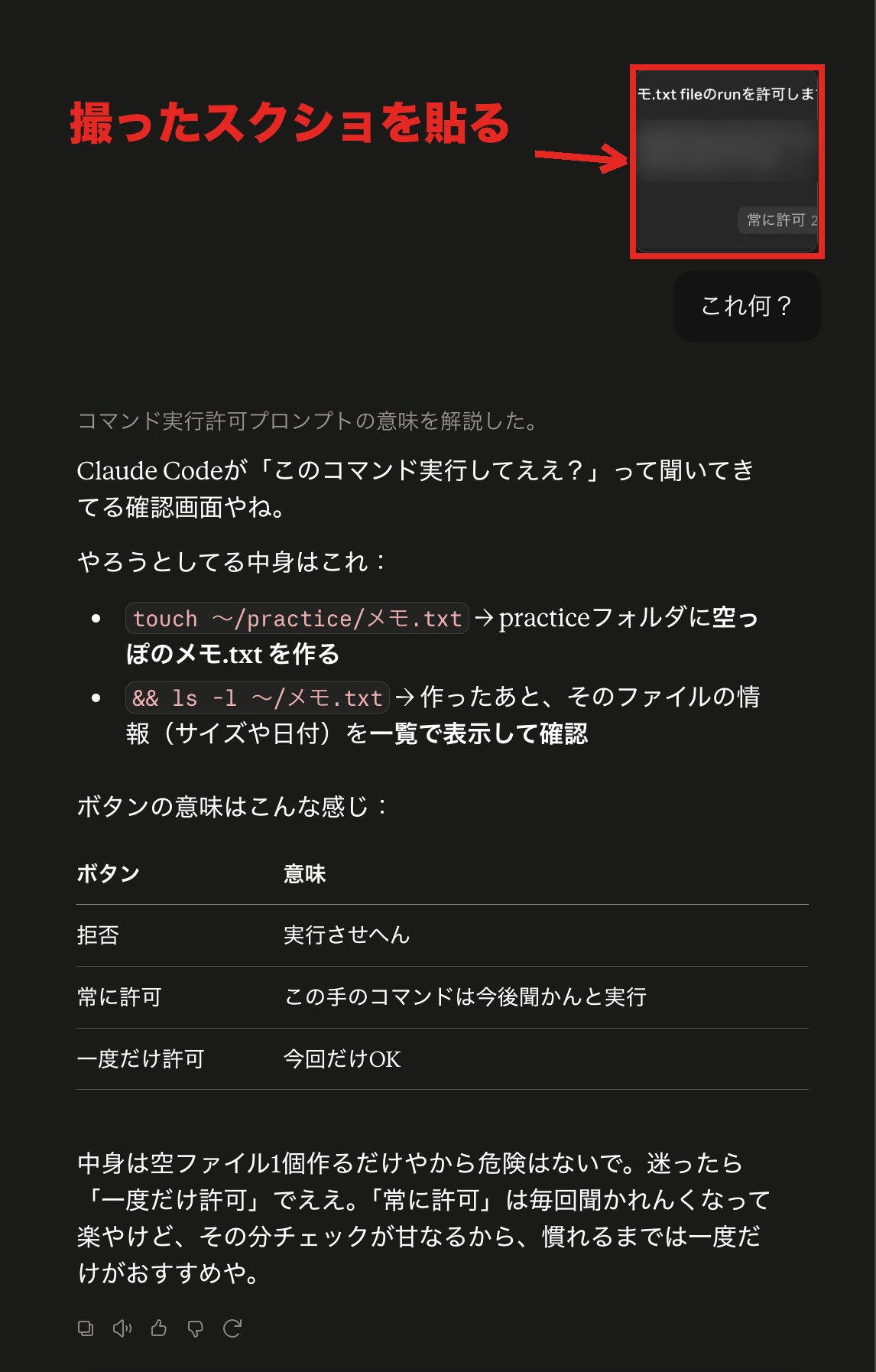 Claudeのチャットにスクショを貼り付けてこれ何？と質問し、コマンドの意味とボタンの意味が表で返ってきた画面